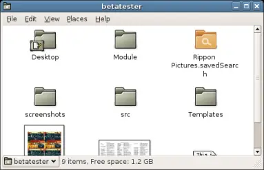 Displaying a folder in spatial mode.
