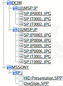 Memory Stick™ directory
structure