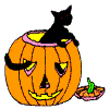 picture of a pumpkin