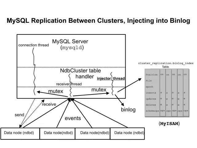 The replication master cluster, the
          binlog-injector thread, and the
          binlog_index table