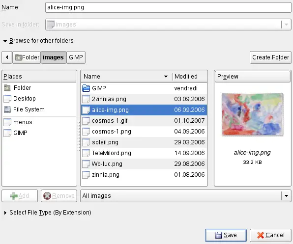 The Save Image dialog (Browser)