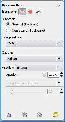 Perspective tool options