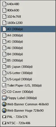 The Create a New Image dialog El diálogo Crear una imagen nueva.