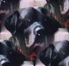 An example of Make Seamless.