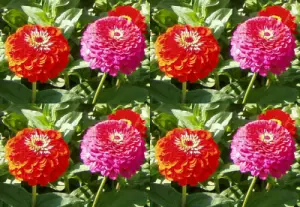 The same image, before and after applying Tile filter