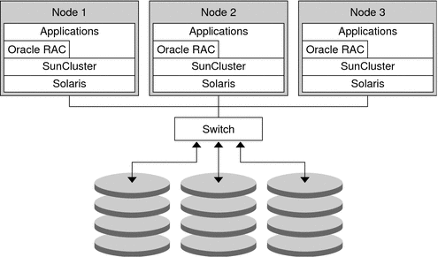 The diagram titled Sample Cluster Configuration shows the association between the software and the shared storage in a typical cluster configuration.