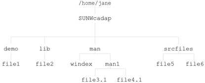 Diagram shows teh structure of the SUNWcadap package directory.