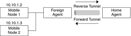 Illustrates the network topology of two privately addressed mobile nodes that use the same care-of address when registered to the same foreign agent.