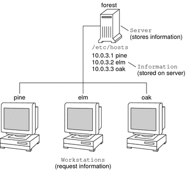 Illustration shows server and clients in client-server computing relationship.