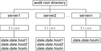 Diagram shows a default audit root directory whose top directory names are server names.