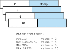 Illustration shows the CLASSIFICATIONS section of the file in text and in a picture.